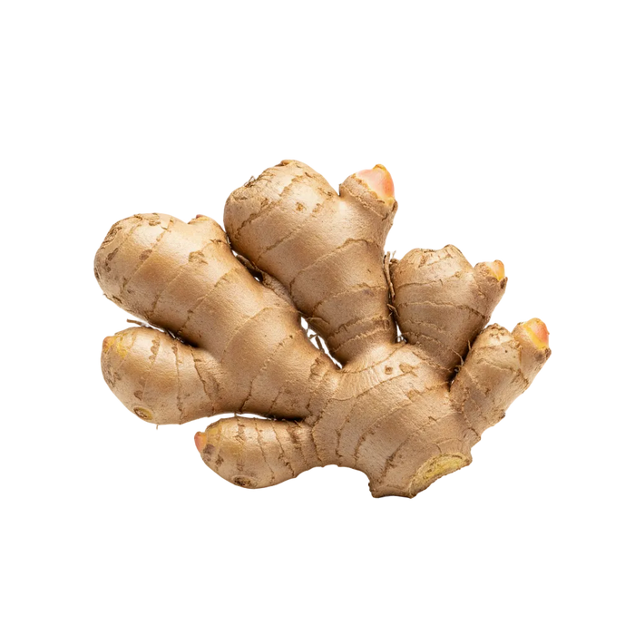 GINGER