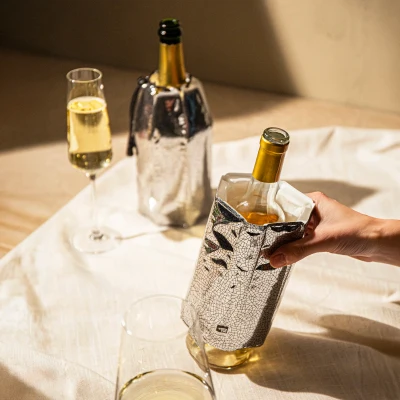Набор охладителей Vacu Vin Active Coolers для вина и Champagne, серебристый | DRINKERO